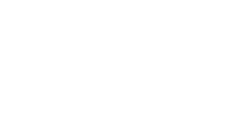 vevise-logo-beyaz