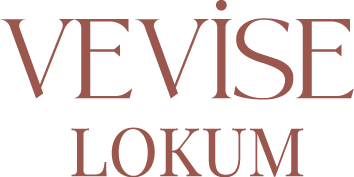 vevise-logo-renkli